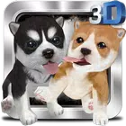 Naughty Dog