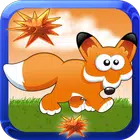 Hungry Fox