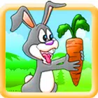 Run Run Bunny