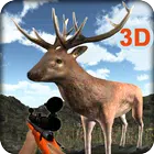 Red Deer Hunting