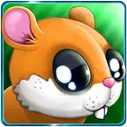Hamster  Runner