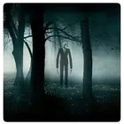Slenderman Damn Forest
