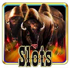 Slots Stampede