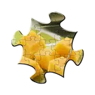 Jigsaw Puzzles