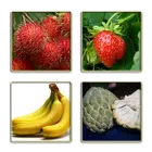 Tebak Nama Buah