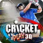 Cricket Play 3D