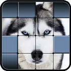 Hidden Pics