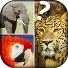Quiz Me - What Animal Am I?