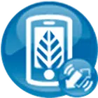 devicealive ZTE Compel