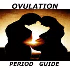Ovulation and Period Guide