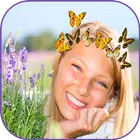 Butterfly Crown Filter