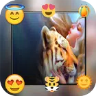 Instaemoji Square