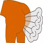 Fart Soundboard