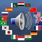 Learn Languages with Phrases