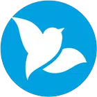 Bluebird