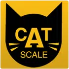 CAT Scale